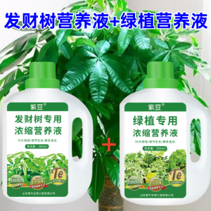 强力发财树专用肥料浓缩营养液室内绿植养花肥家用盆栽防黄叶液体肥