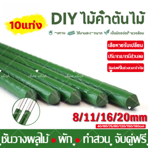 🍂DIY ประกอบอิสระ🍂 เสาไม้เลื้อย 10แท่ง กระกางต้นไม้ ไม้ค้ำต้นไม้ ท่อเหล็กPE หลักไม้เลื้อย เสาต้นไม้ ยาว 45-180 ซม. หนา 8-20 มม. ไม้ค้ำยันต้นไม้ ค้างต้นไม้ ซุ้มต้นไม้