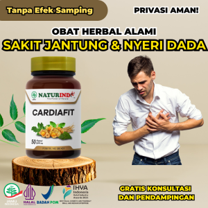 Obat Herbal Sakit Jantung Bengkak Koroner Nyeri Dada Sesak Berdebar Cepat Aritmia Keringat Dingin