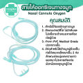 [ถูกชัวร์ 📣] สายให้ออกซิเจนทางจมูก Nasal Cannula Oxygen ยี่ห้อ Phenoma สายออกซิเจน แบบปลอดเชื้อ 100% สำหรับ เด็ก/ผู้ใหญ่. 