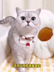 【Ship in 24H】白菜价猫咪驱虫项圈除跳蚤防虱子宠物驱虫项圈狗狗驱蚊脖子颈圈猫咪铃铛vxxdf