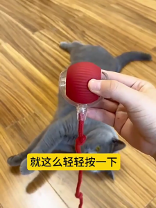 Interactively Motion Cats Ball Toy Cats Automatic Moving Entertainment Toy Suitable for Busy Owners