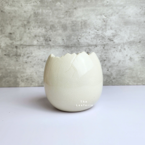 The Leaferie Maja Egg plant pots. Ceramic flowerpot . flowerpots . flower pot . planter . planters . Plants