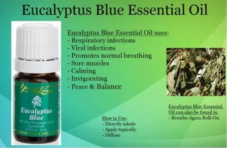 Young Living Eucalyptus Blue Essential Oil | Lazada Singapore