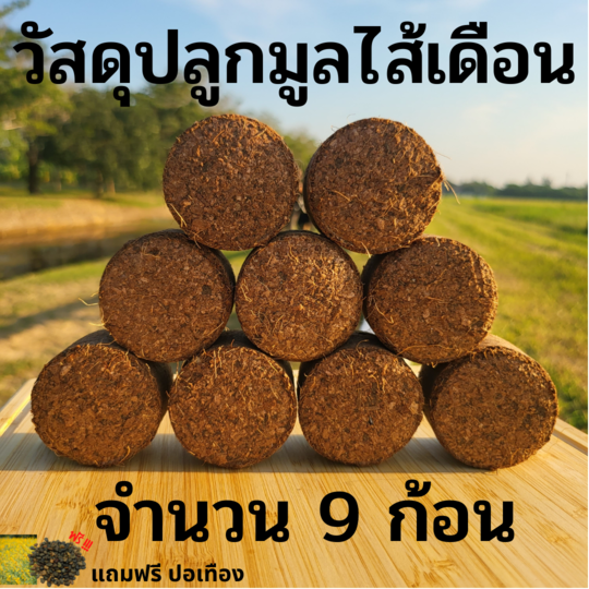 มูลไส้เดือนอัดก้อน 9 ก้อน พร้อมปลูก