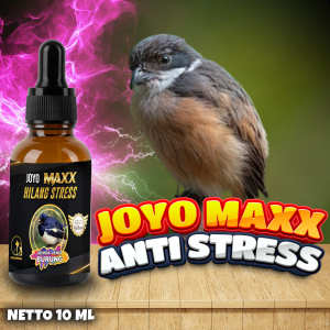 VITAMIN  STRESS | VITAMIN GEJALA STRES | BURUNG NGERUJI |  BURUNG| MAXX ANTI STRESS 10 ML