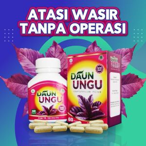 Daun ungu obat wasir dan ambien BPOM Wasir kapsul Ambeyen Herbal AMPUH
