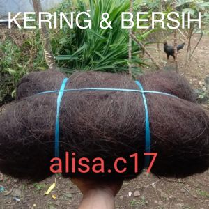 Ijuk Aren Halus KERING BERSIH 1 Kg Ijuk Resapan Ijuk Penjernih Air Ijuk Media Filter Ijuk Saringan