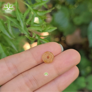 Q326 Charm ngũ đồng điếu Thạch Anh Tóc Vàng Nâu Cafe sẵn lỗ 2li hợp Thổ & Kim - Phong Thuỷ TUDO