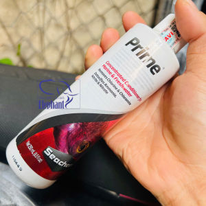 Seachem Prime chính hãng SICAVI - Dung dịch xử lý nước cho hồ cá cảnh khử độc Amoniac kim loại nặng...