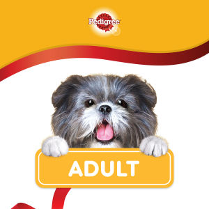 PEDIGREE Wet Dog Food for Adult Dog - Chicken & Grilled Liver Loaf / Simmered Beef Loaf 80g