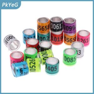 PkYeG 20 pcs Pigeon vòng chân với từ Bông tai 2024 Nhiều màu chim công cụ