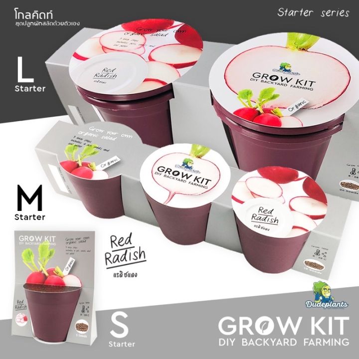 ชุดปลูกผัก แรดิชแดง GROW KIT: STARTER SERIES RADISH | Lazada.co.th
