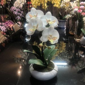 กระถางกล้วยไม้ประดิษฐ์ ขนาดเล็ก ดอกกล้วยไม้สีขาว พร้อมกระถางสีขาว