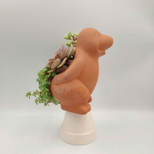 Chậu đất nung chậu sen đá - Chuột chũi 716 miệng chậu 7cm chiều cao 16cm