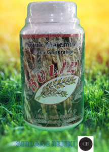 PUPUK MAJEMUK  BULIR 500 GRAM masa generatif