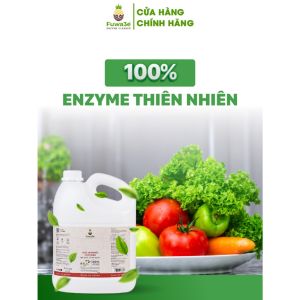 Nước Rửa Rau Củ Quả Sinh Học Fuwa3e Enzym Dứa 3.8 Lít Giúp loại bỏ làm sạch chất bẩn chất hóa học