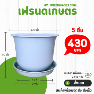 กระถาง กระถางต้นไม้ มินิมอล ถ้วยจีน+จาน ขนาด 12 นิ้ว สีฟ้าพาสเทล 5 ใบ ชิ้น อัน