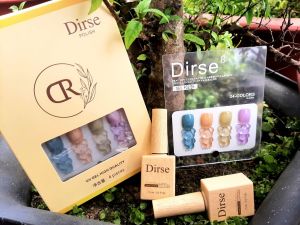 Sét sơn gel Dirse tông xanh tím 4 màu [tặng bảng mầu]
