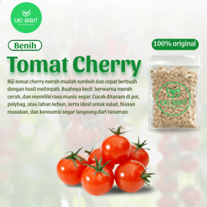 ( 500 Butir ) Benih Biji Tomat Cherry | Tomat Ceri | Solanum Lycopersicum