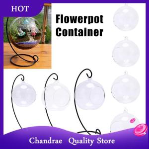 [Chandrae] ล้างแก้วลูกแจกันภูมิทัศน์ Terrarium แขวนหม้อกระถาง