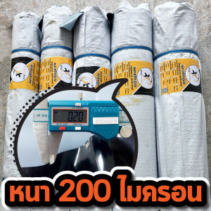 ผ้ายางปูบ่อ พลาสติกปูบ่อ หนา 200 ไมครอน เสริมป้องกันUV ปูบ่อปลา บ่อกบ