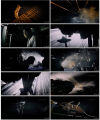 Alien Romulus เอเลี่ยน โรมูลัส (2024) DVD หนังใหม่ ภาพ 90% พากย์ไทยโรง. 