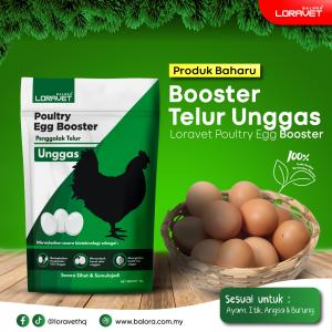 VITAMIN PENGGALAK TELOR LORAVET ( AYAM ITIK BURUNG )