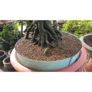 ĐẤT TRỒNG ĐỎ BONSAI AKADAMA 3-5MM trồng bonsai 1kg