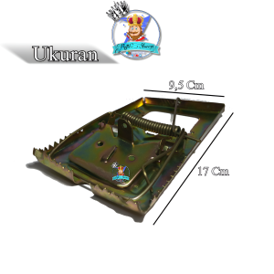 Perangkap Tikus Pemberat Serat Alami - Solusi Anti-Tikus Efektif Multi-Pak