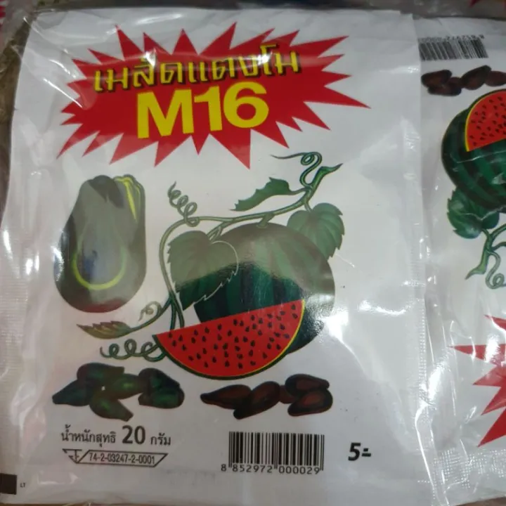 เมล็ดแตงโม M16 20 กรัม 12 ซอง คั่วกรอบ