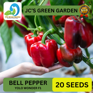 VALUE PACK (20 SEEDS) BELL PEPPER SEEDS/FOR PLANTING/YOLO WONDER VAIRETY