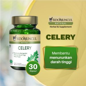 Sido Muncul Natural Celery 30 Kapsul - Membantu Meringankan Tekanan Darah Tinggi yang Ringan