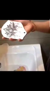 tato temporer pariasi hewan dan bunga 3pcs kirim random acak