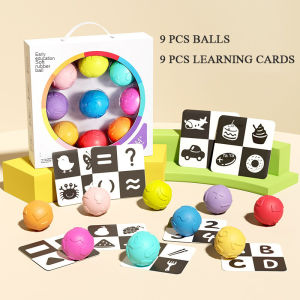 Early Learning Baby Montessori Sensory Toys Ball with Cognitive Matching Flash Cards Educational Toys for Toddler 1 2 Years Old