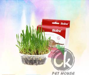 Bioline Cat Grass Pet Grass Kit / Self Grow Kit Set Hairball Control Rumput Kucing 12G