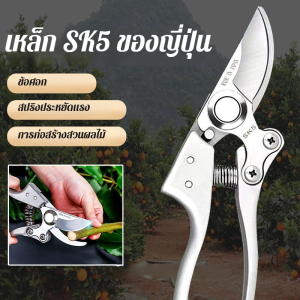 เครื่องมือตัดกิ่งผลไม้กลางแจ้ง กรรไกรตัดกิ่งผลไม้ที่แข็งแรง