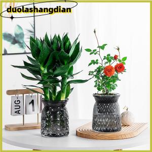 [Duola] กระถางต้นไม้พลาสติกใสรดน้ำด้วยตัวเองขนาดเล็กสำหรับตกแต่งบ้าน
