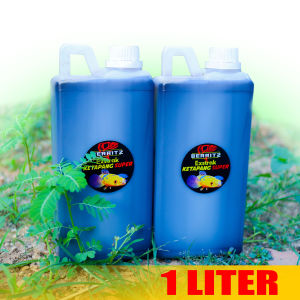BERRITZ 1 Liter Ekstrak Daun Ketapang Pekat