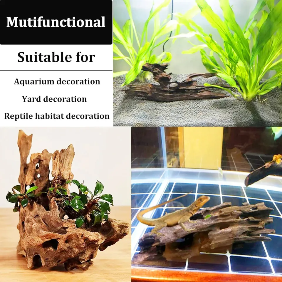 drift wood extra large aquarium Fish tank Shrimp wood Fish rest