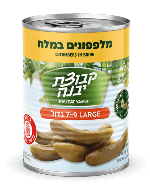 Cucumbers in Brine - Large 7-9