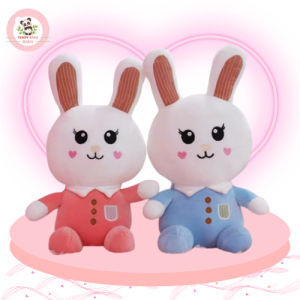 Gấu Bông Thỏ Mặc Áo Siêu Cute Cho Bé HADA