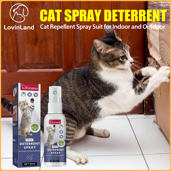 Homemade cat repellent outdoor spray best sale