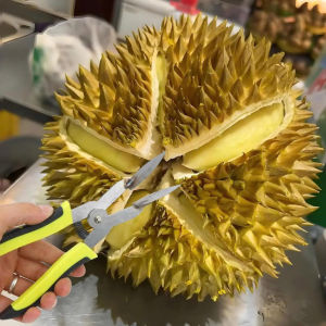 Kìm tách vỏ sầu riêng - Dụng cụ mở vỏ sầu riêng tiện lợi cho quý bà con