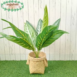 Pohon Hias Daun Aglonema Hijau Strip Pot Dasar Hitam Cover Purun Handle Dekorasi Ruang Tamu