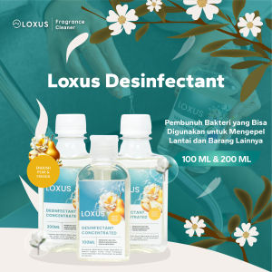 Loxus Concentrated Desinfectant Pembunuh Bakteri Bisa Untuk Mengepel Lantai dan Barang Lainnya di Rumah