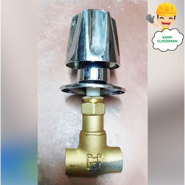 【Delivery Today】 Price Pfister Shower Valves Made in USA with Handle