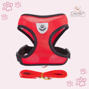 Tali Rompi Harness Kucing Anjing Tali Tuntun Untuk Hewan Peliharaan Dog Cat Pet Leash Harness