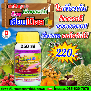 เซียนไม้ผล ขนาด 250 ซีซี 1 ขวด ฮอร์โมนฉีดพ่นทางใบ ใบเขียวเข้ม ติดดอกดี ออกผลดก สีผลสด ผลโตจัมโบ้ สามารถฉีดพ่นไม้ผลได้ทุกชนิด