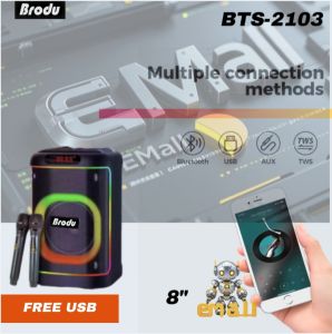 brodu BTS-2105 Bluetooth Outdoor Boombox Portability Powerful Sound Wireless Speakers with 2 rechargeable Wireless Mic